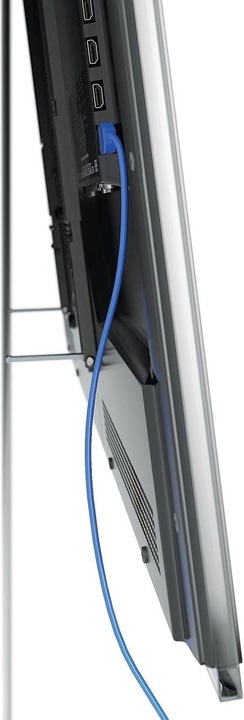 Actual product image Vogels Thin 405 (Wall, 55", 25 kg)