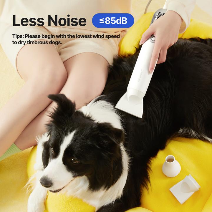 Actual product image Neakasa F1 Fast Quiet (Cat, Dog)