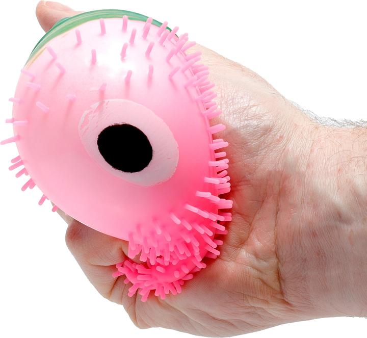 Actual product image Roost Squeeze fruit TY863 6 assorted