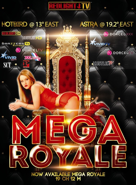 Actual product image Redlight Mega Elite Royale (Viaccess, Smart card)