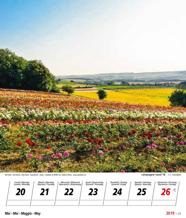 Produktbild Novos Bildkalender Ma Patrie/Die Heimat/Mia patria/Switzerland (1 Woche / 1 Seite)