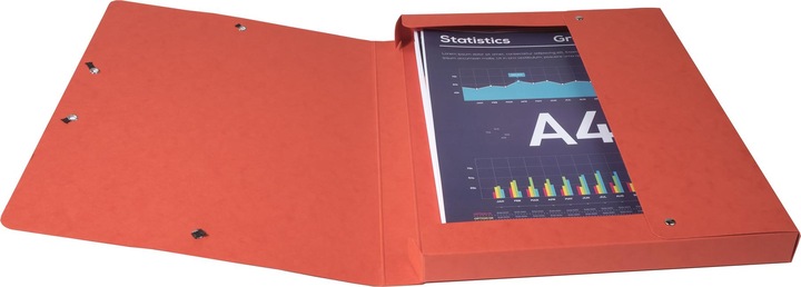 Actual product image Exacompta Archivboxen (A4)