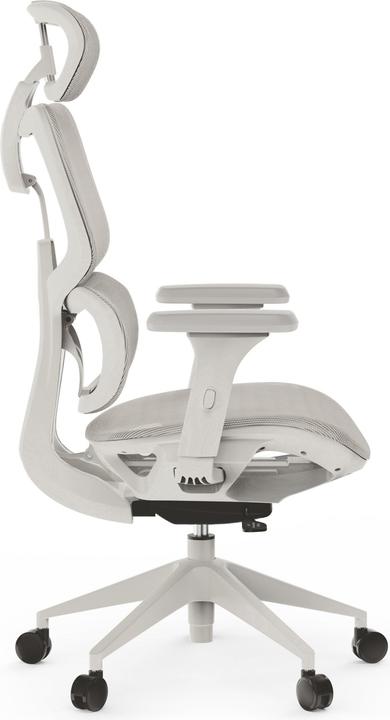 Produktbild Sense Krzesło biurowe SENSE7 Fotel biurowy NOBU light gray