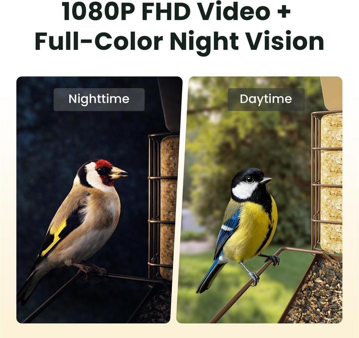 Immagine prodotto Birdfy Distributore di cibo con telecamera