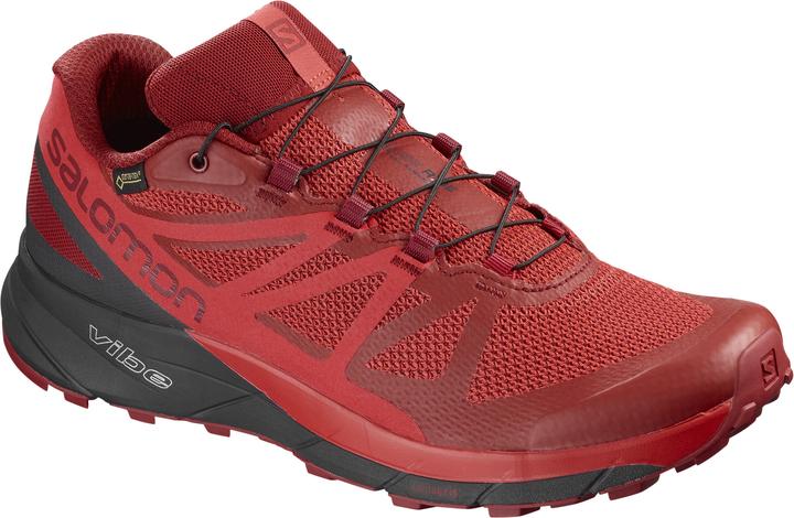 salomon sense ride 3 gore tex invisible fit