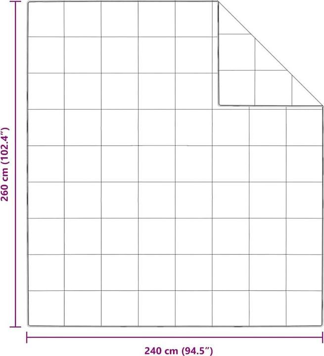 Immagine prodotto vidaXL Sommerdecke (2600 g, Piuma, 260 x 240 cm)