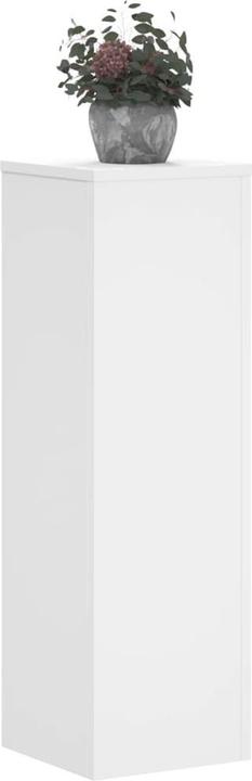 Image du produit vidaXL Support pour plantes