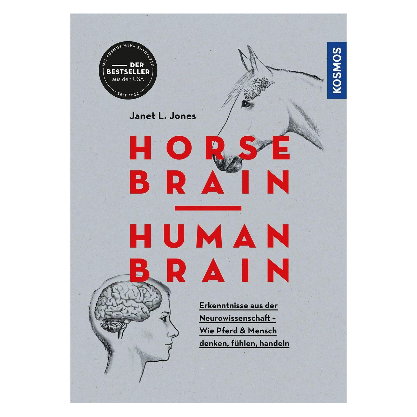 Kosmos Horse Brain, Human Brain, Gids Van Janet L. Jones