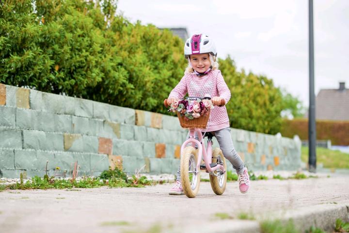 Actual product image Puky Lr Xl Br Classic (12")