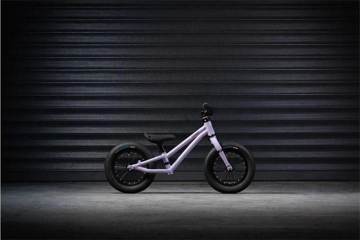 Actual product image Early Rider Charger 12