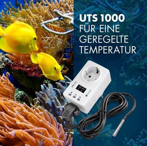 Produktbild H-Tronic UTS1000 Temperaturschalter -99 - 850°C
