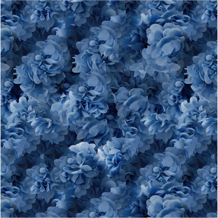 Moooi Hortensia carpet