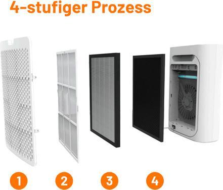 Actual product image Bold 10648 (43 m²)