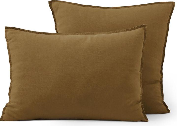 Couleur bronze
