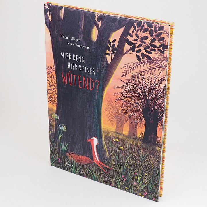 Produktbild Wird denn hier keiner wütend? (Deutsch, Marc Boutavant, Toon Tellegen, 2021)