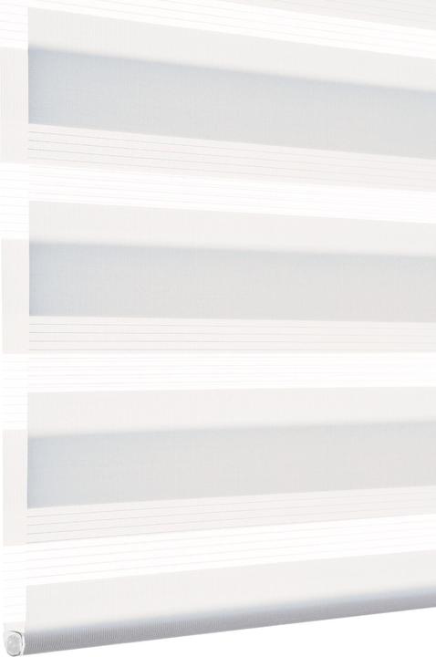 Produktbild Gardinia Easyfix Doppelrollo (120 x 150 cm)