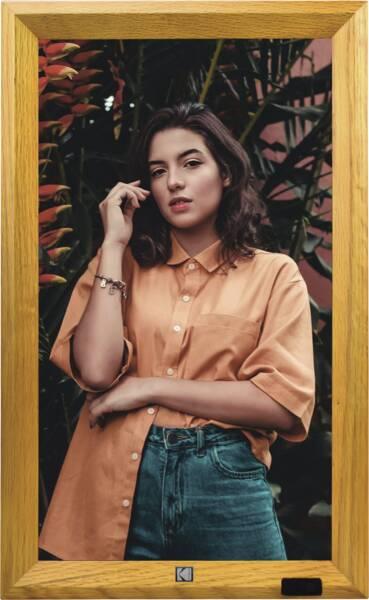 Kodak WF173V WiFi, root wood