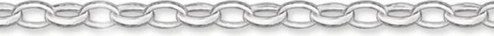 Actual product image Thomas Sabo Charm Foot Chain Classic (Silver, 24 cm)