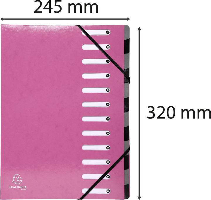 Actual product image Exacompta Folders with pleated spine (A4, 1x)