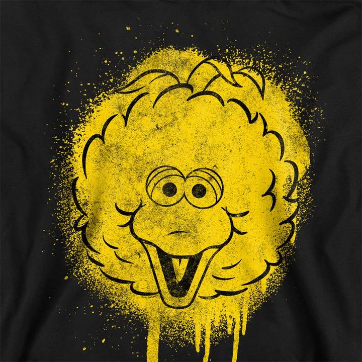 Produktbild Sesame Street Spray Face Sweatshirt (S)