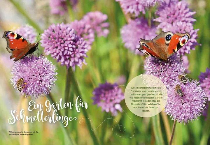 Immagine prodotto Mein Schmetterlingsgarten (Tedesco, Elke Schwarzer, 2022)