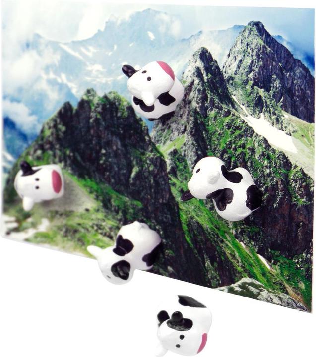 Image du produit Trendform Vache (6 x)