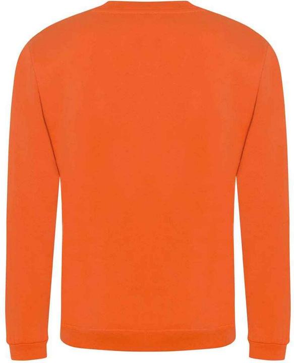 Produktbild Prortx Pro Sweatshirt (3XL)