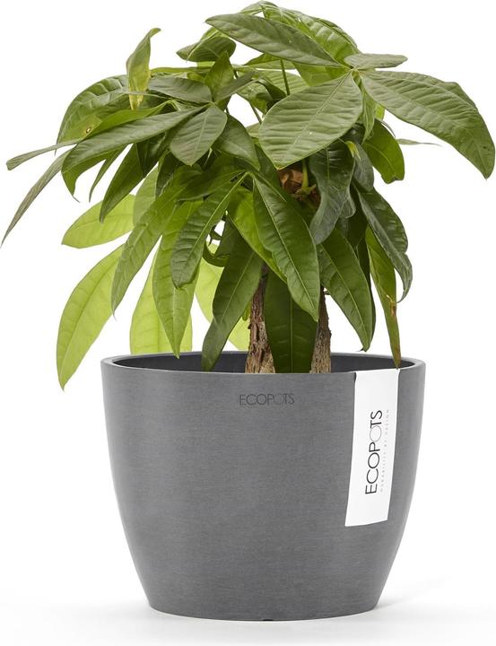 Produktbild Ecopots Stockholm (16 x 12.50 cm)
