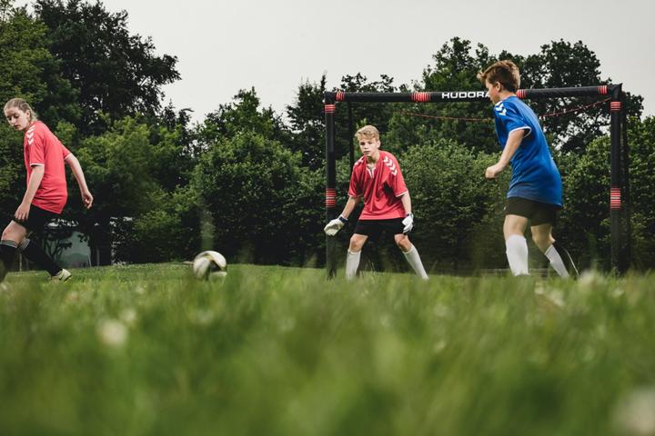 Image du produit Hudora But de football Pro Tect 300