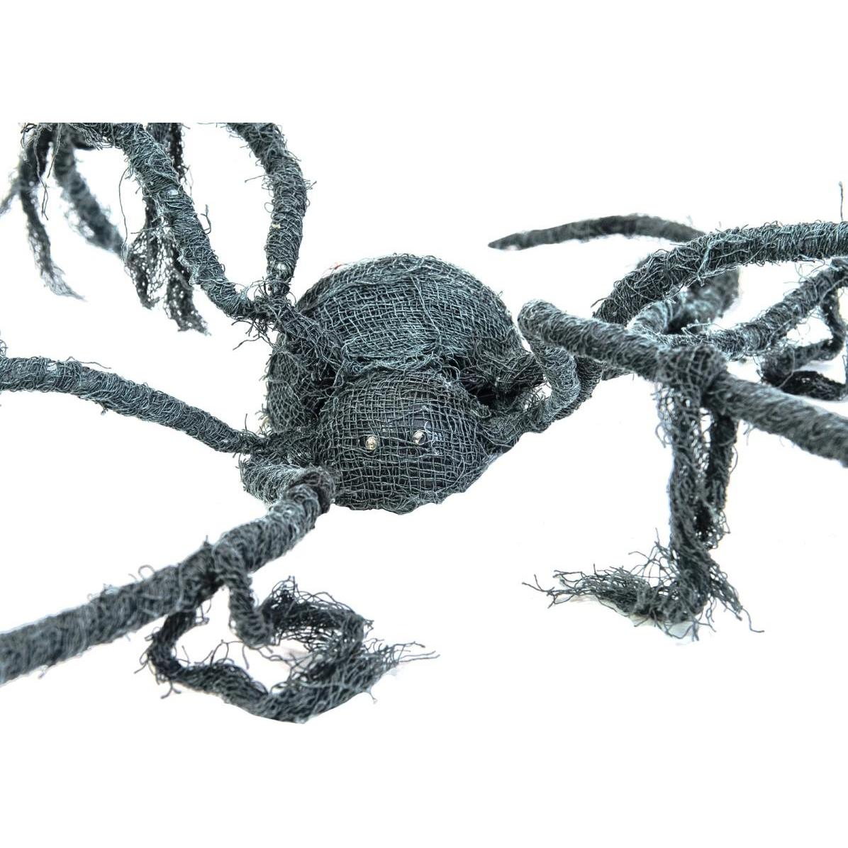 Thumbnail - Europalms Spinne
