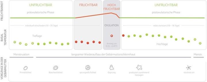 Produktbild Daysy Zykluscomputer 1.0