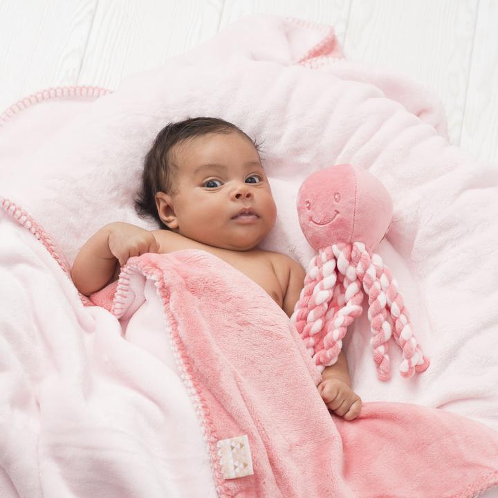 Immagine prodotto Nattou Octopus (23 cm)