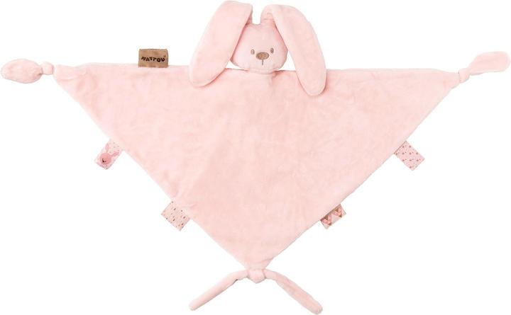 Actual product image Nattou Lapidou