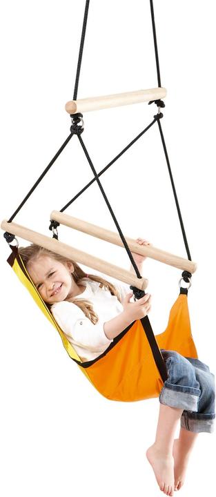 Immagine prodotto Amazonas Swinger (60 kg)