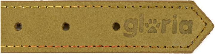 Image du produit Gloria Collier de chien Oasis vert 40 cm (40 x 1,5 cm) (Nubuck)