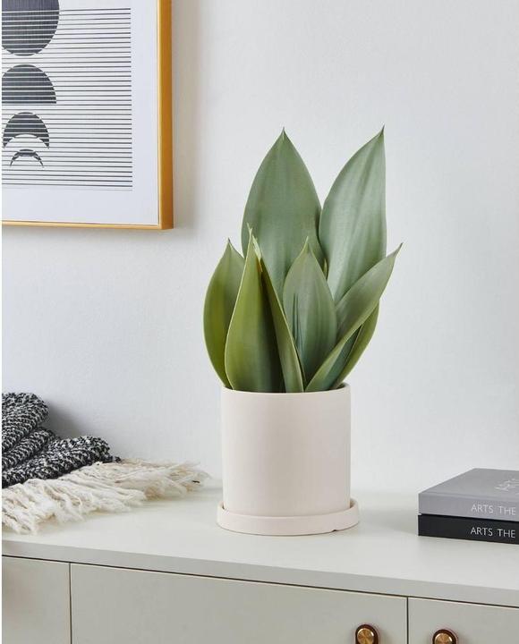 Immagine prodotto EGLO Kunstpflanze 41.5cm (41.50 cm)