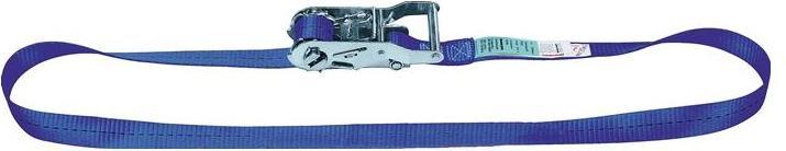 Dolezych Cinghia di ancoraggio con cricchetto 1000 daN 1 pezzo L:4m