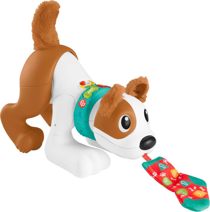 Image du produit Fisher-Price 123 Crawl With Me Puppy-DU