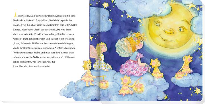 Actual product image Princess Lillifee is looking for the little star (cardboard picture book) (German)