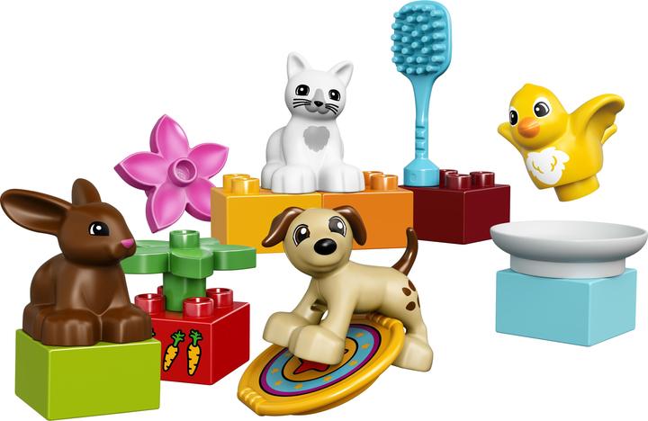 Actual product image LEGO Pets (10838)