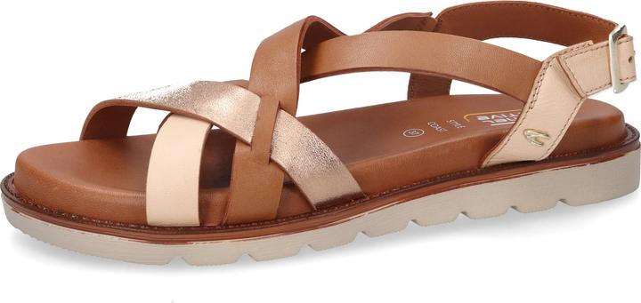 Marrone, Oro/Beige, oro/natura