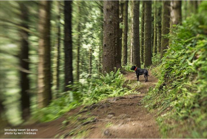 Actual product image Lensbaby Sweet 50 Optics (Universal, full size)