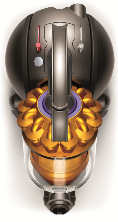 Actual product image Dyson DC33c Allergy Musclehead