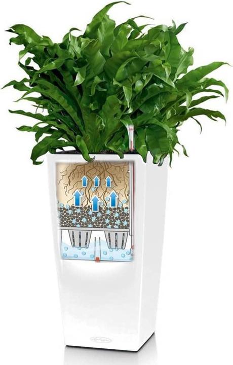 Produktbild Lechuza Cubico Color (22 cm)