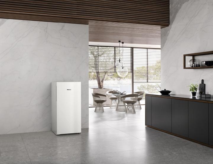 Actual product image Miele FN 4312 E (Stand-alone, 161 l)