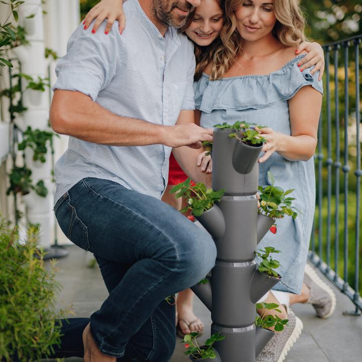 Actual product image Gusta Garden Sissi Strawnerry (27 x 27 x 77 cm)