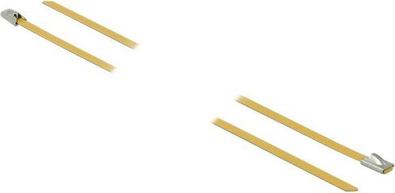 Actual product image Delock Stainless steel cable tie 300x4,6 10pcs. (Metal cable ties, 300 mm, 10 pcs.)