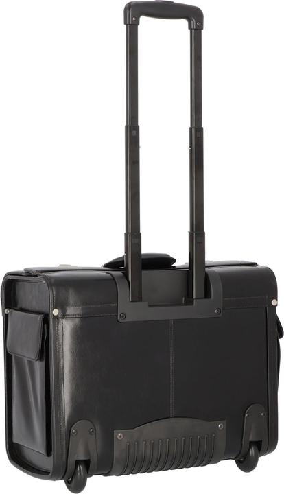 Actual product image Dermata were pilot case 45.5cm from vegatabile full cowhide (37 l)