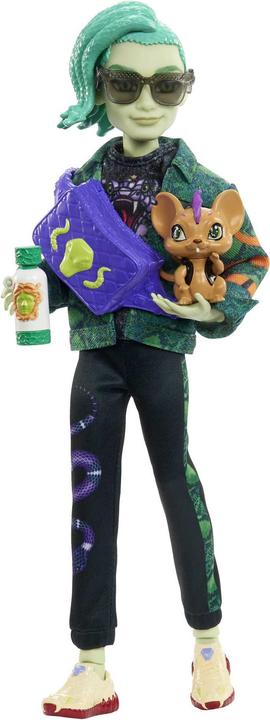 Actual product image Monster High HHK56