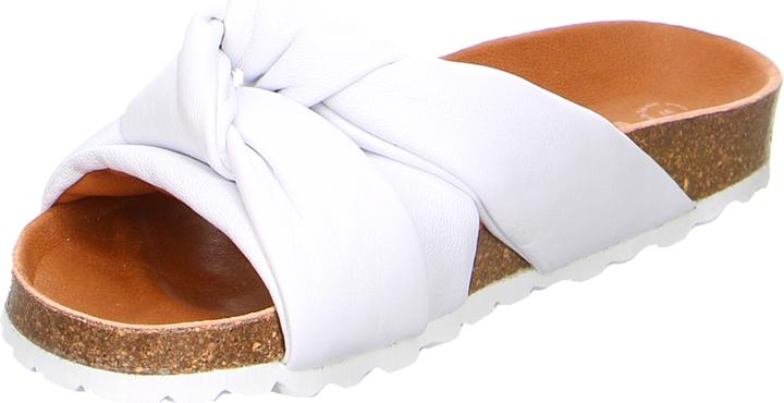 Actual product image Verbenas Rainbow Blanco (41)